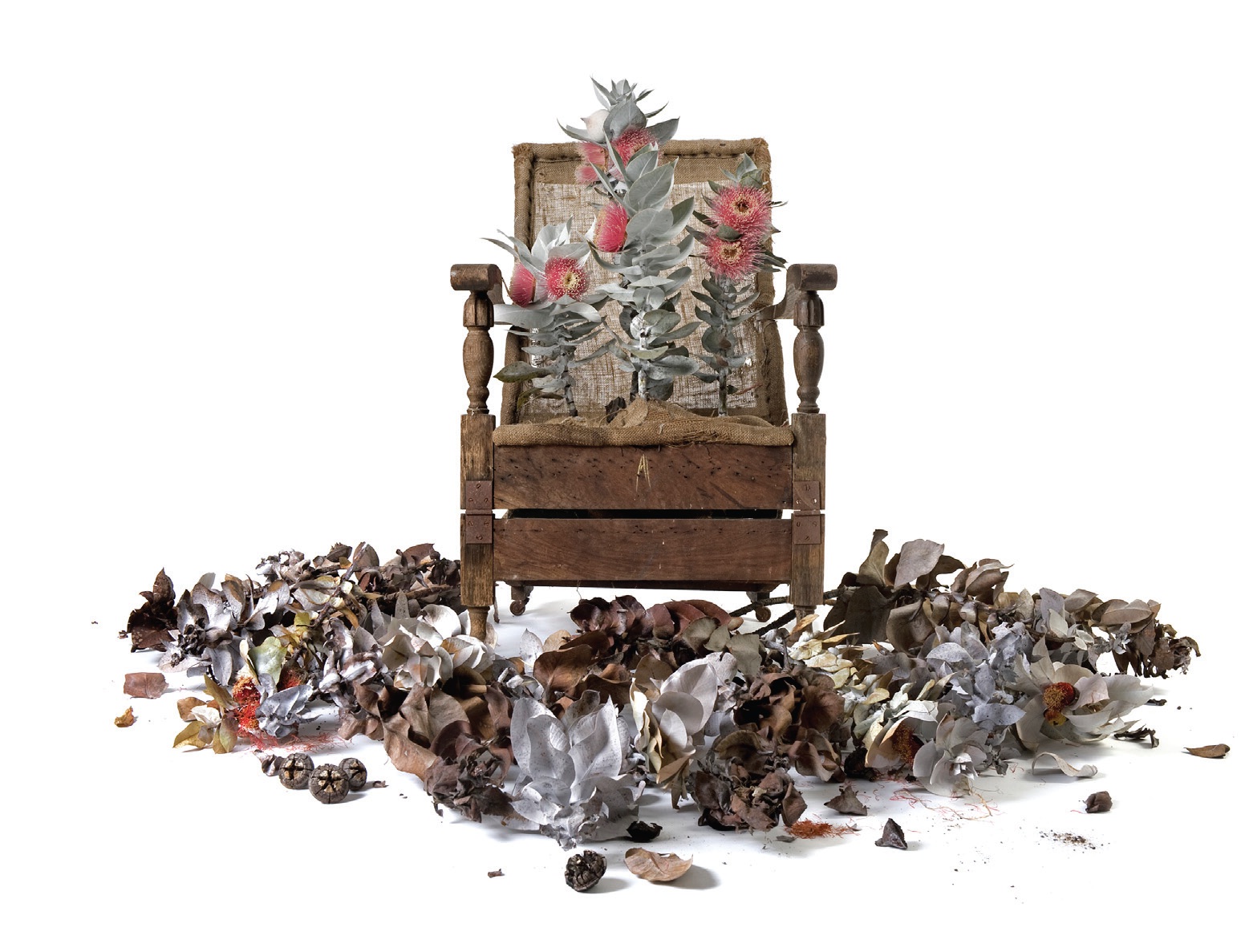 Image for the course: Eva Fernandez | (terra) australis incognita