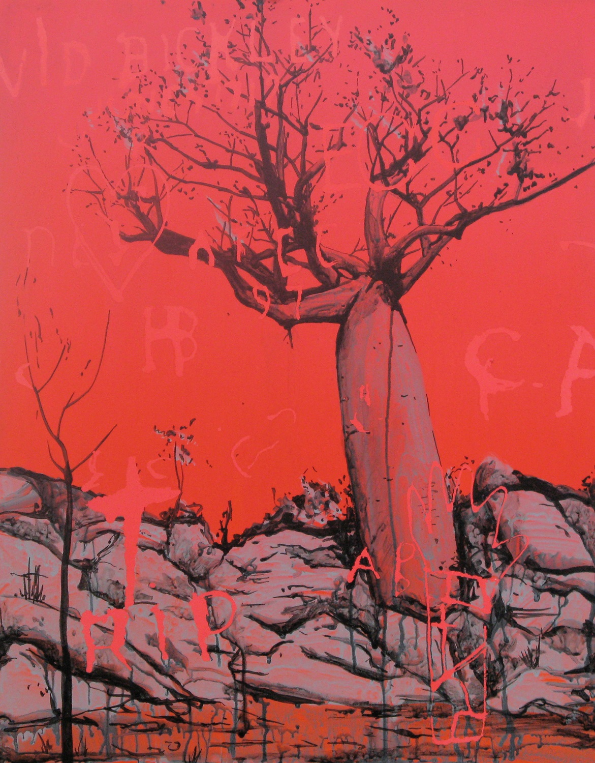 Image for the course: James Dodd | Boab Inscriptions