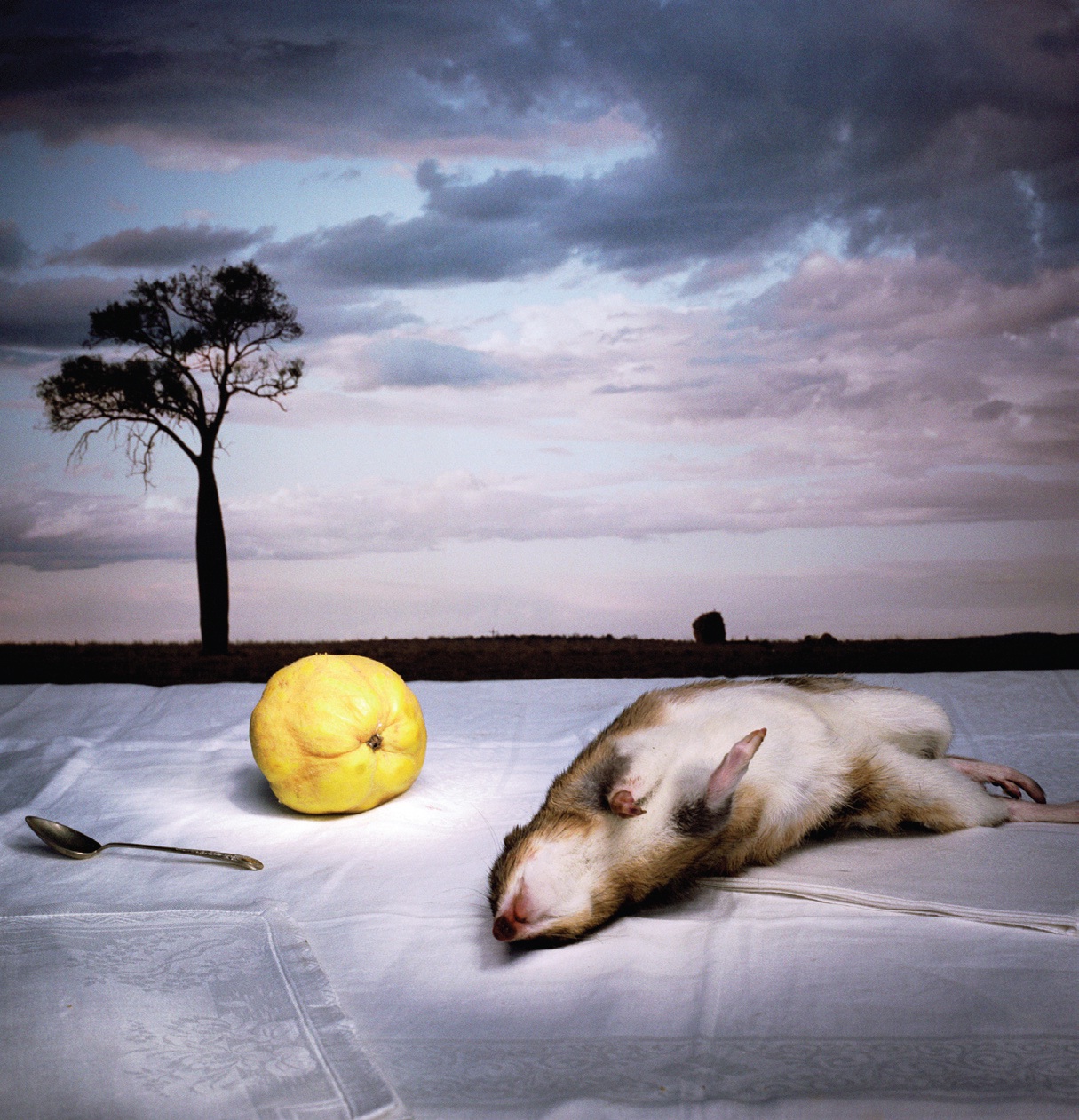 Image for the course: Marian Drew | Every Living Thing