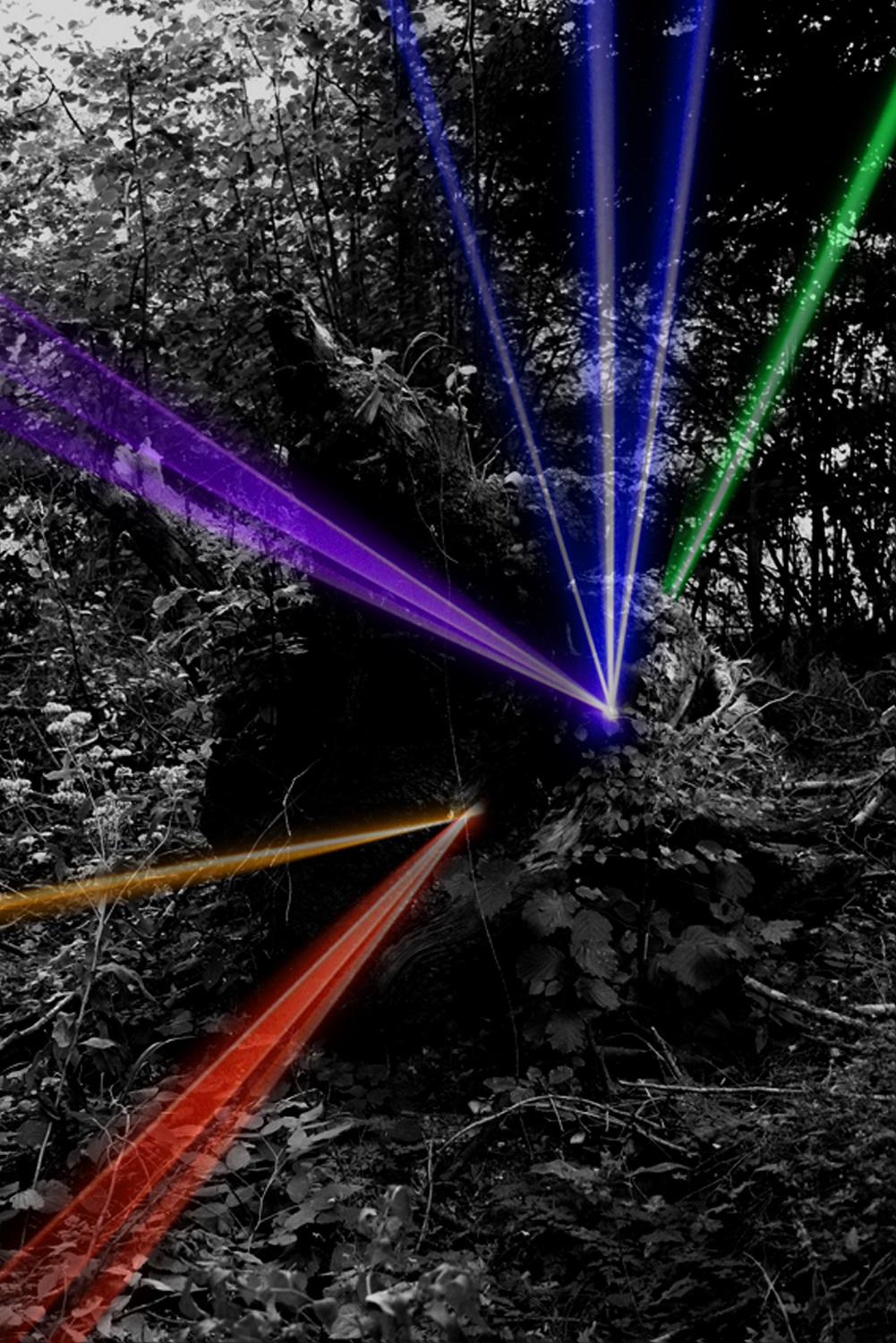 Image for the course: Maschi Fontana | Rising Lotus