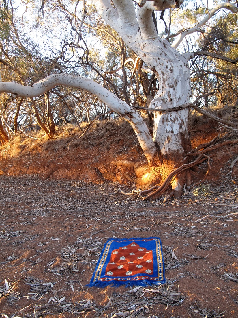 Image for the course: Olga Cironis | Fajr – City of Fremantle Collection