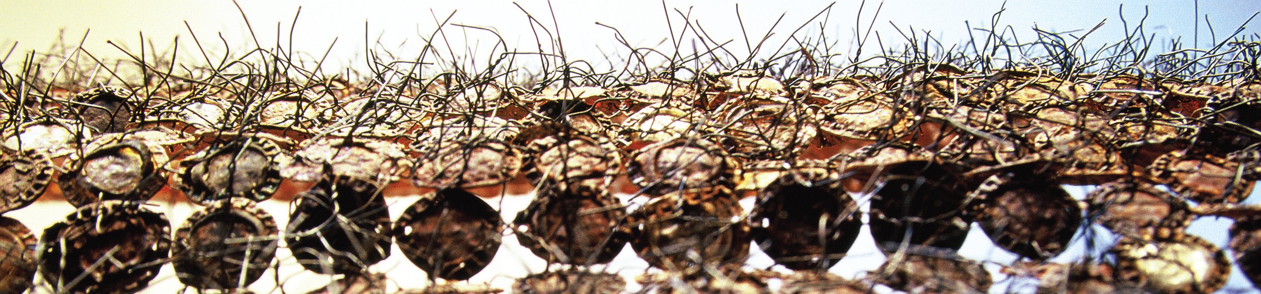 Ruth Parker, Archaeology (detail), 2003-07, found bottle tops, 300 – 200cm