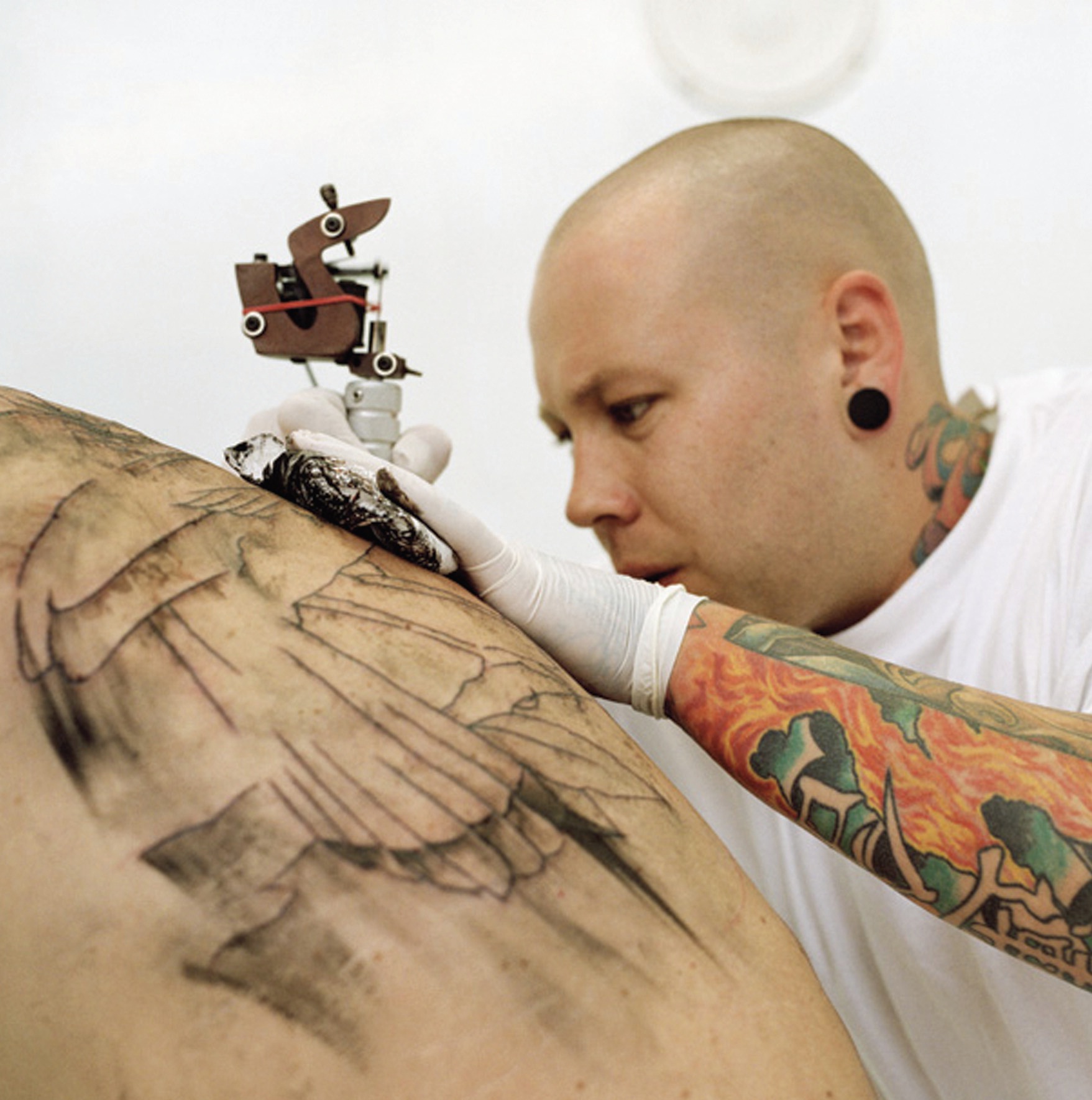 Image for the course: Hayden Fowler | Call of the Wild