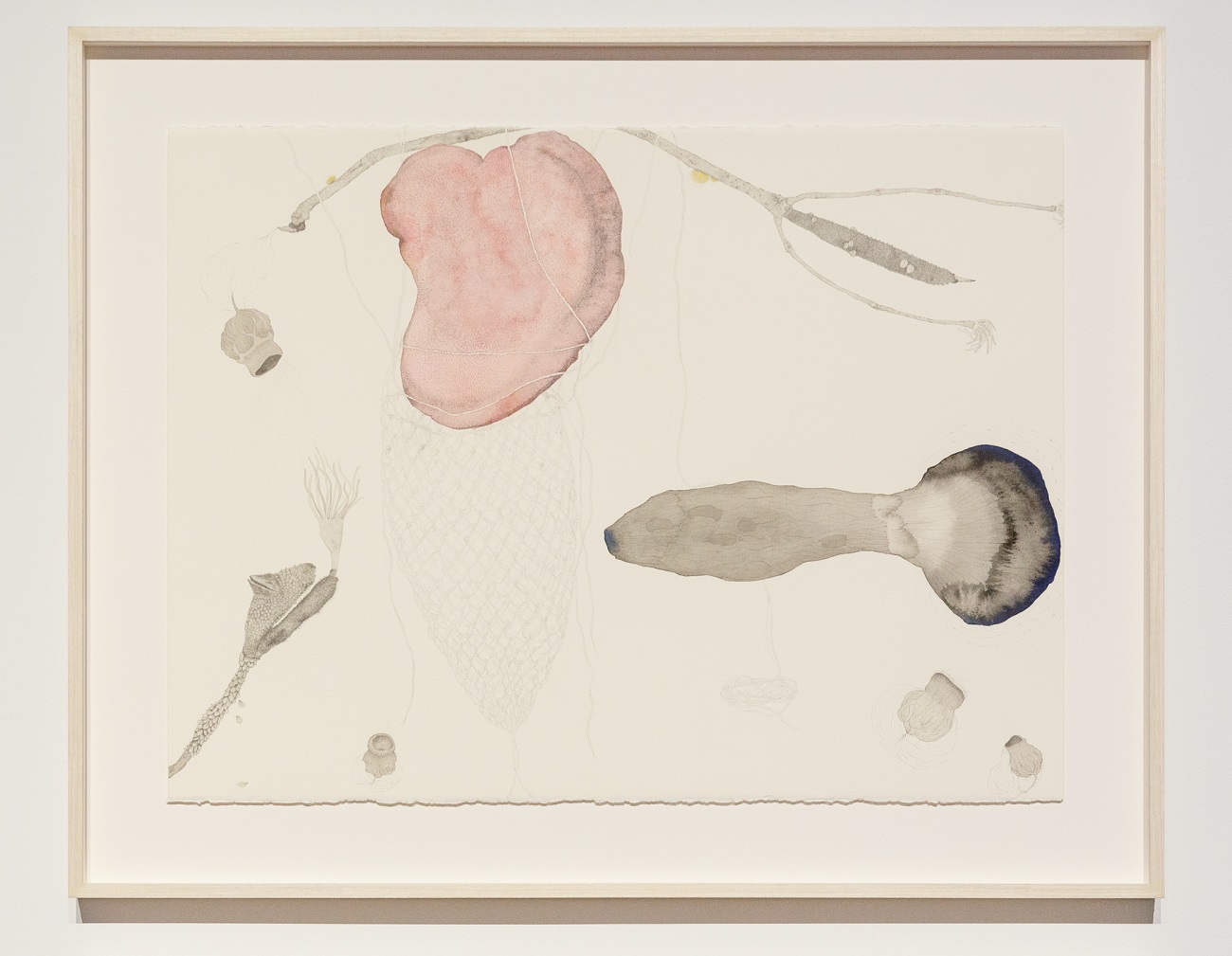 Lia McKnight, Filum from the series Sacred animate, 2017, ink, graphite and pencil on paper, 57 x 76cm. Courtesy of the City of Joondalup Art Collection