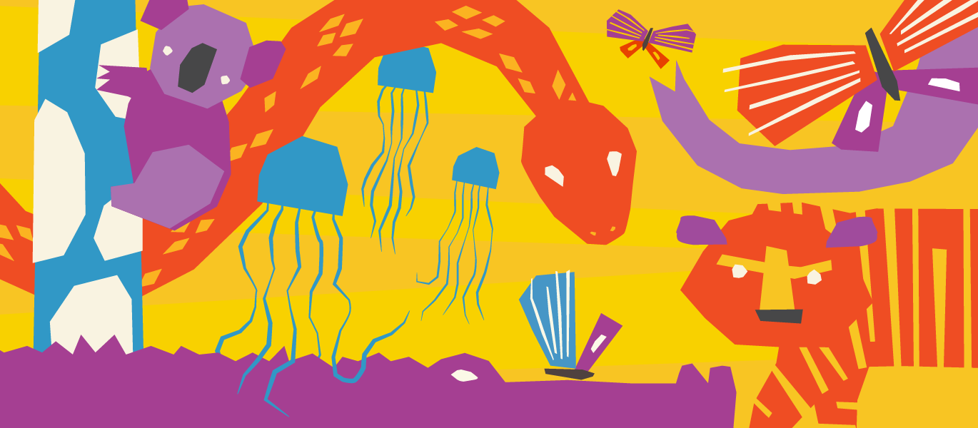 Image for the course: Animaze: Amazing Animals for Kids