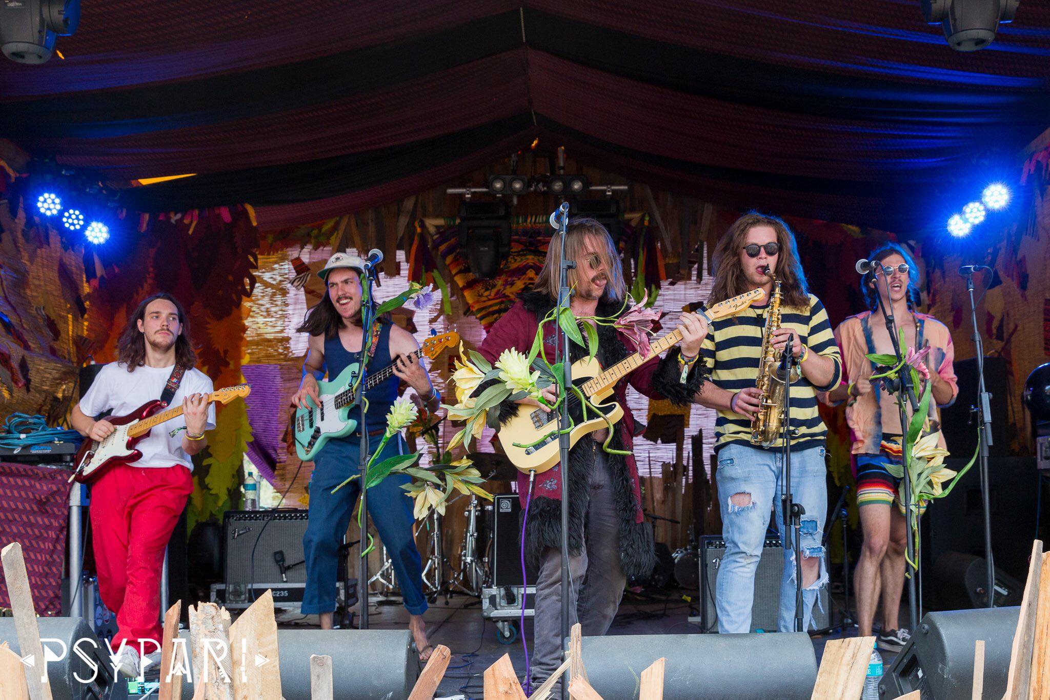 Image for the course: Sunday Music: Papaya Tree