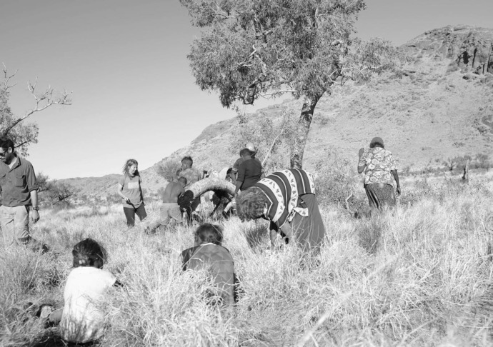 Image forRevealed Art Centre Spotlight: Maruku Arts