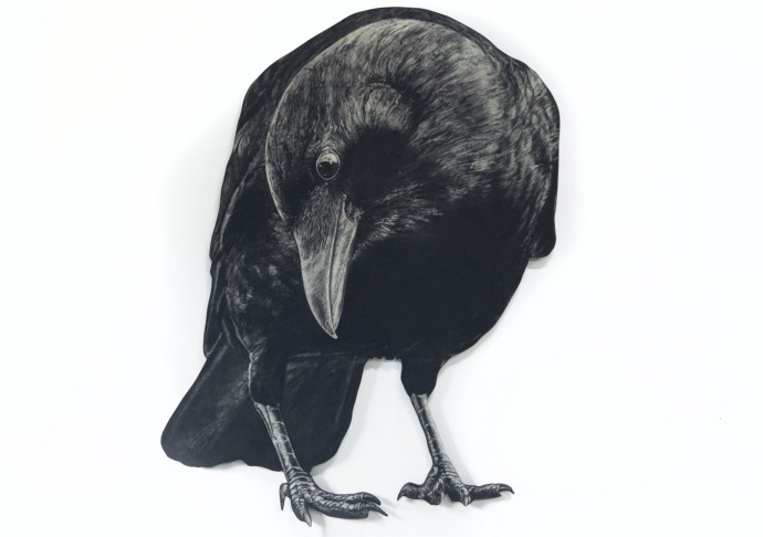 Image forMarawar-ak︱From The West: A celebration of Western Australian art, our stories and place in the world