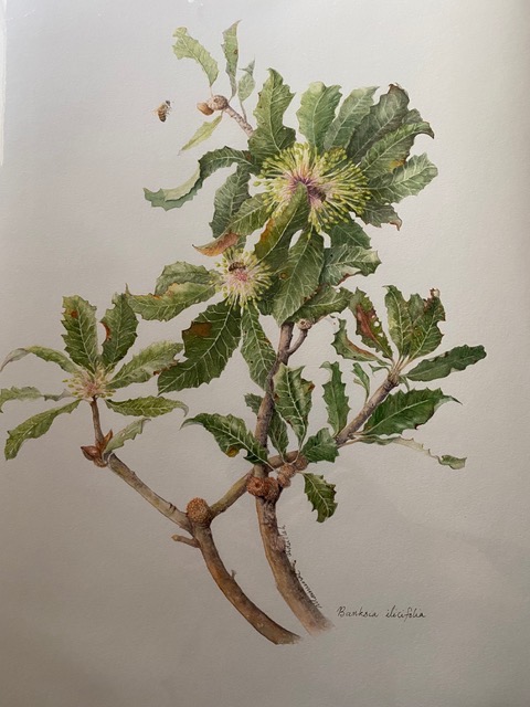 Image for the course: Through Our Eyes