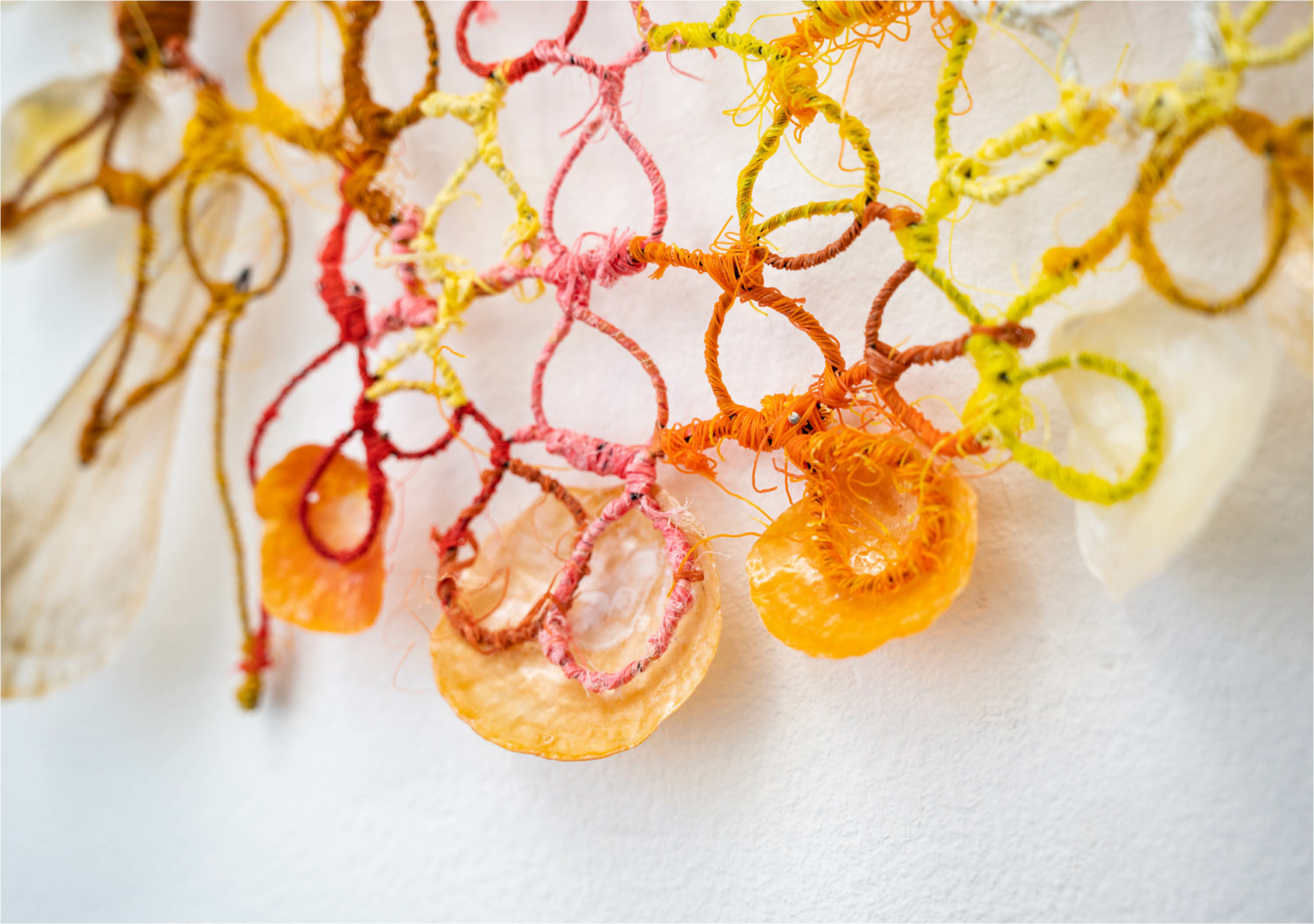 Image for the course: SPECIAL TREAT, DIONNE HOOYBERG