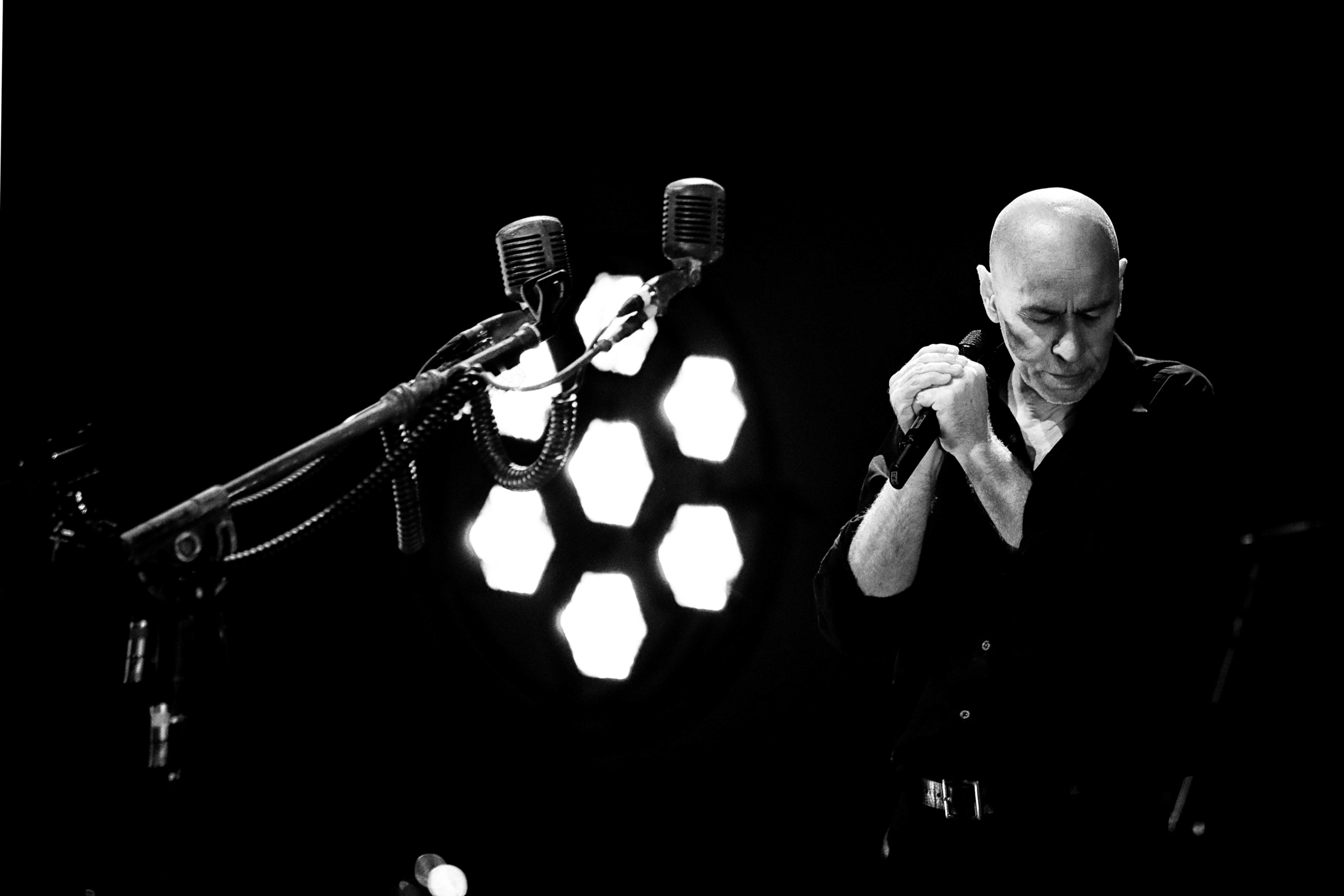 Image for the course: THE THE: ENSOULED WORLD TOUR 2024