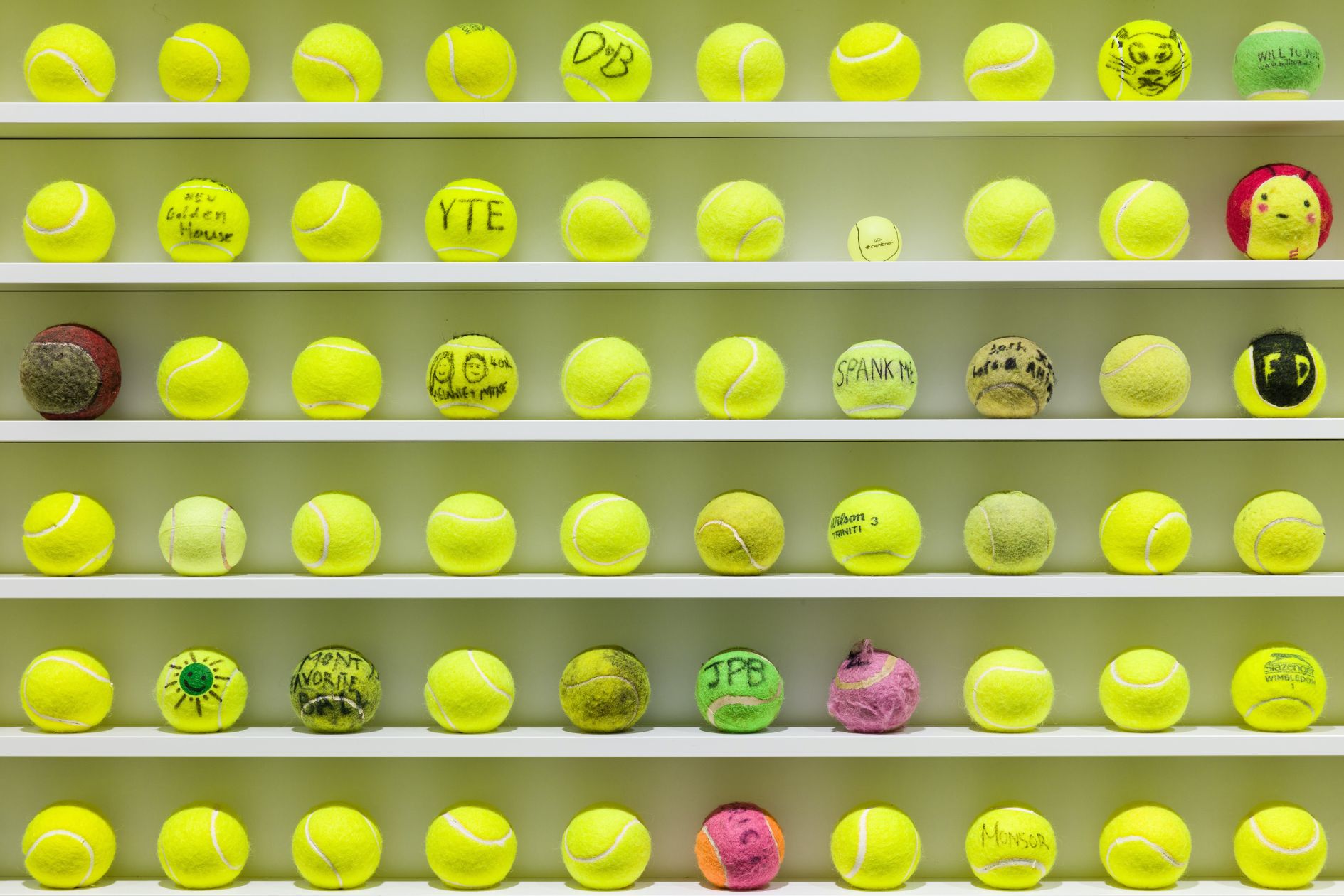 Image for the course: David Shrigley: Walyalup Fremantle Tennis Ball Exchange