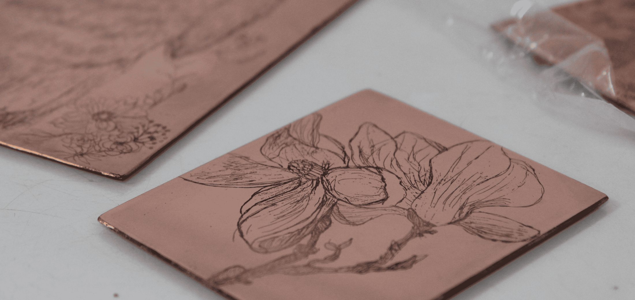 Image for the course: Intaglio Print Making Open Studio