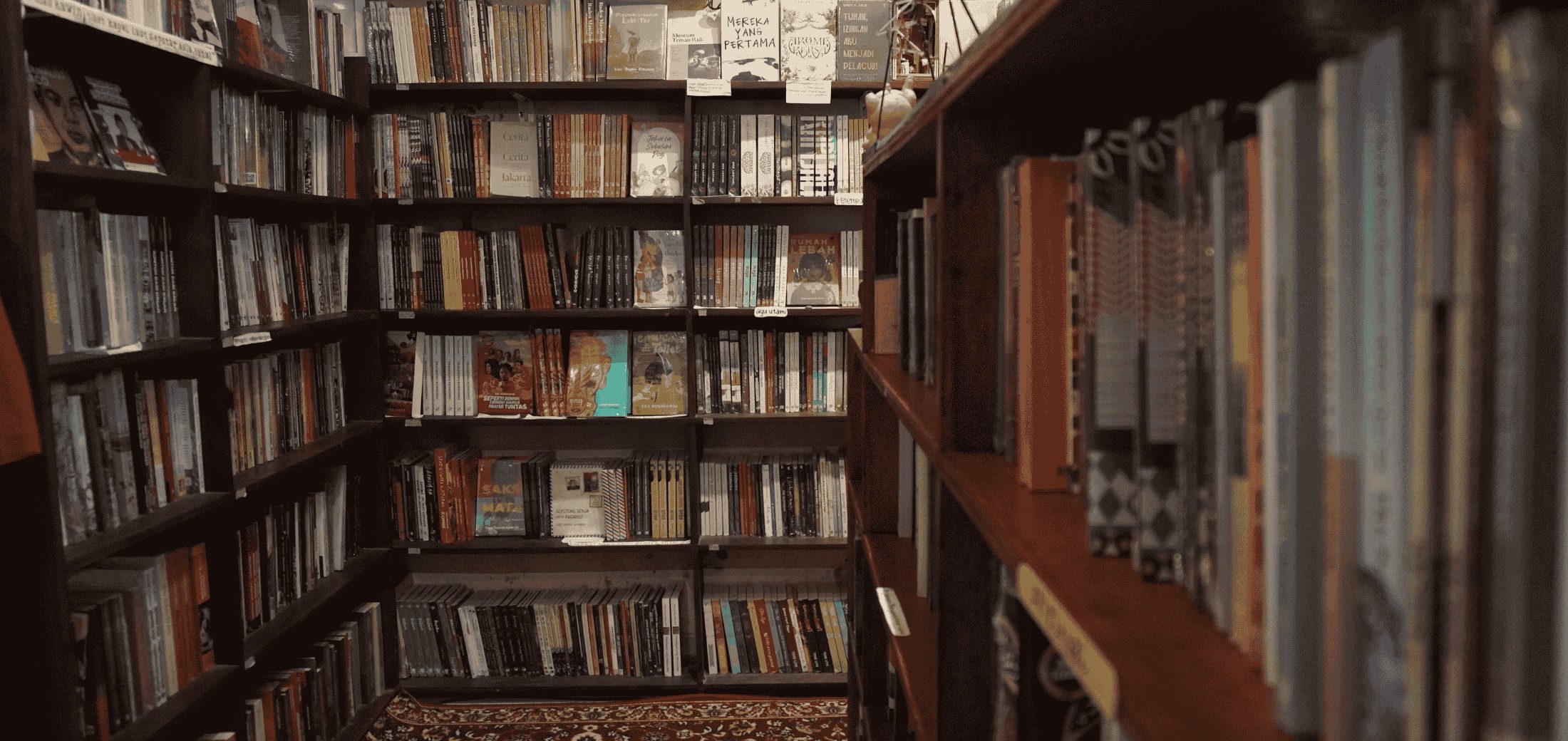 Image for the course: Speculative Fiction Writing