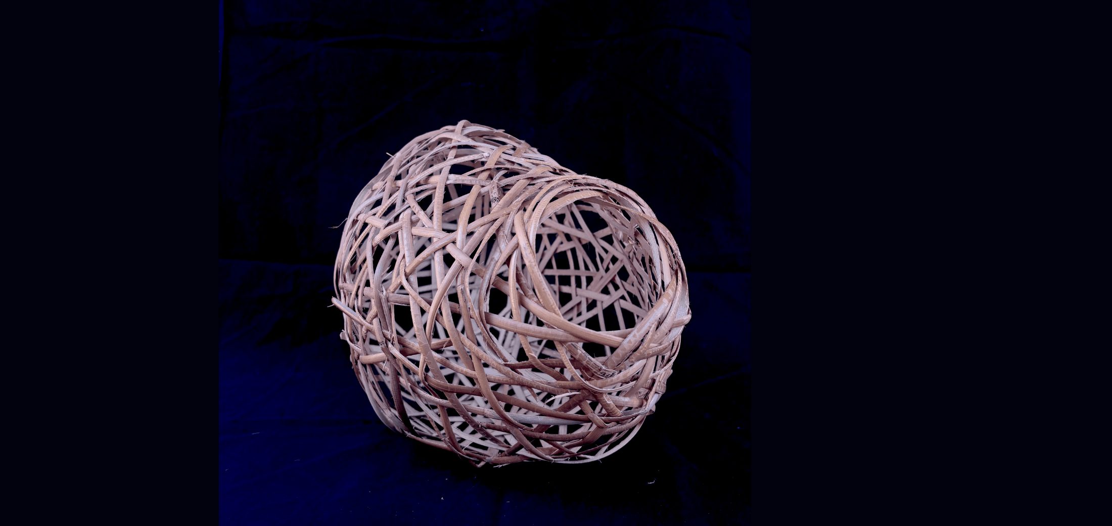 Image for the course: Free Form Weaving in a Day