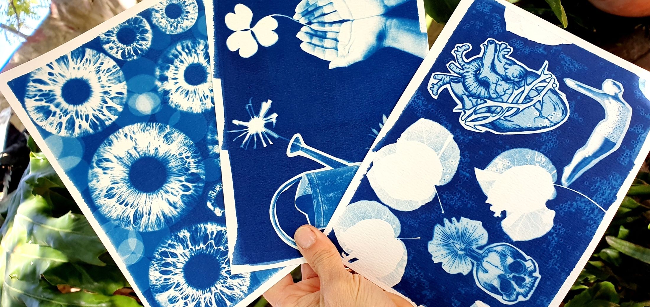 Image for the course: NEW! Cyanotype Sun Print