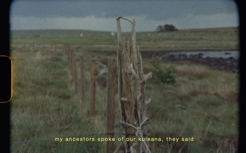 A weathered wooden post stands in a grassy field with a fence line receding into the distance, featuring text overlay.