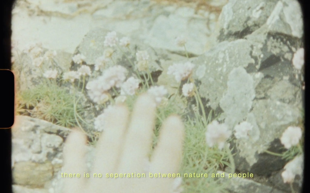 A blurred hand reaches towards delicate pink flowers growing amongst rocks, with text overlay reading "there is no