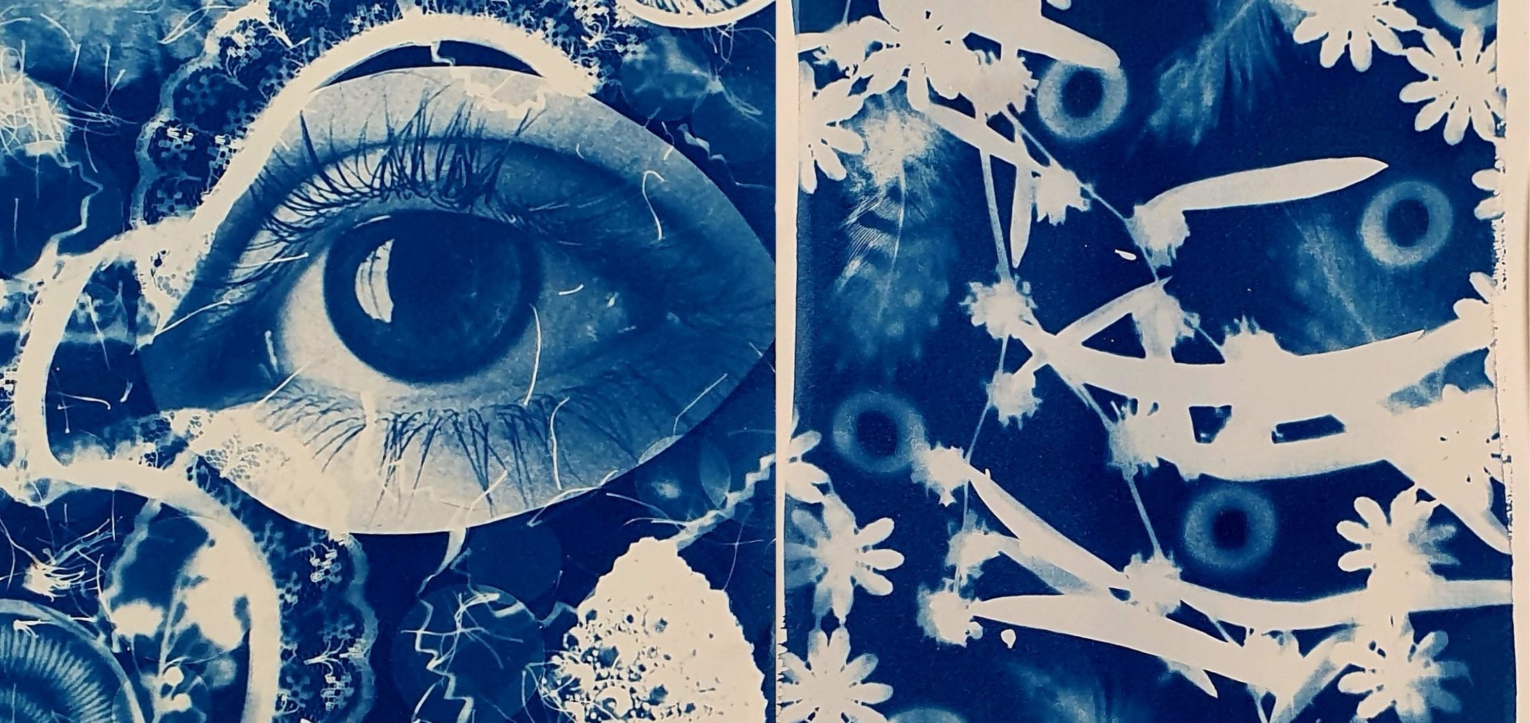 Image for the course: NEW! Cyanotype Blueprint Cards