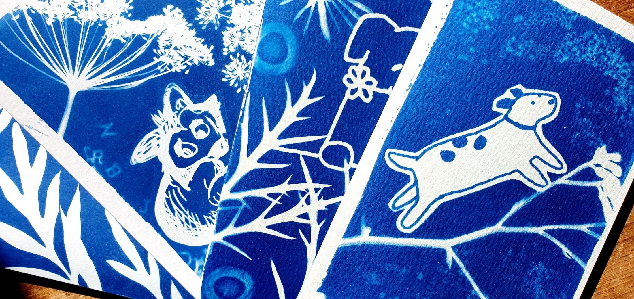 Image for the course: Creatures in Blue