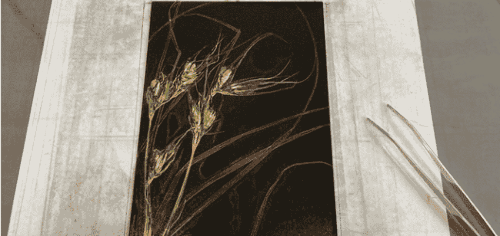Image for the course: Two-week mini course: Experiments in Soft Ground Etching