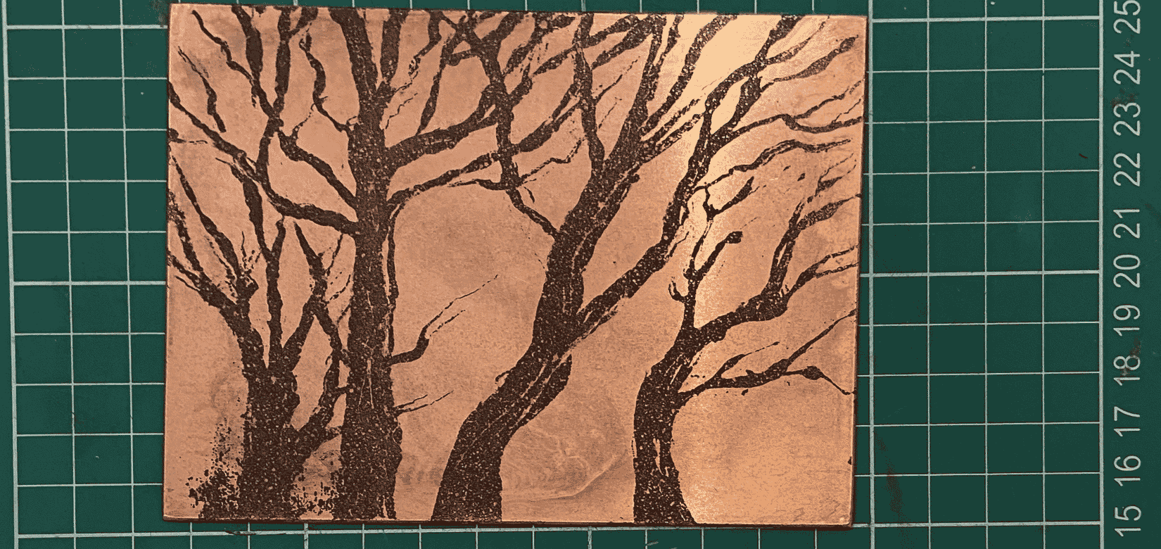 Image for the course: Two-week mini course: Sugar Lift and Spit Bit Etching